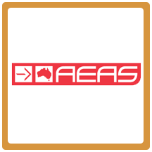 新标点AEAS详细信息